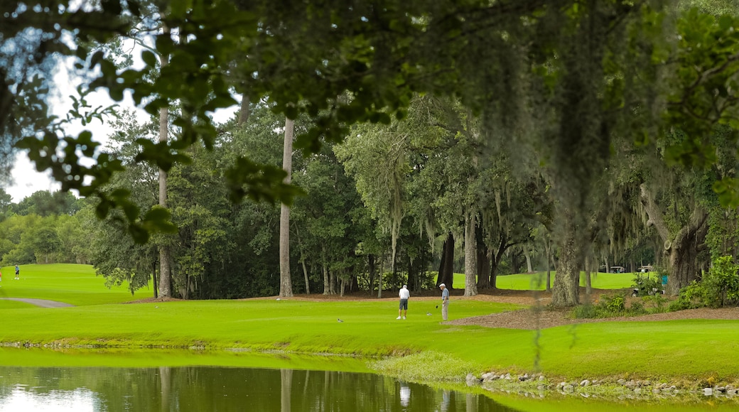 Caledonia Golf and Fish Club which includes golf and a pond as well as a couple