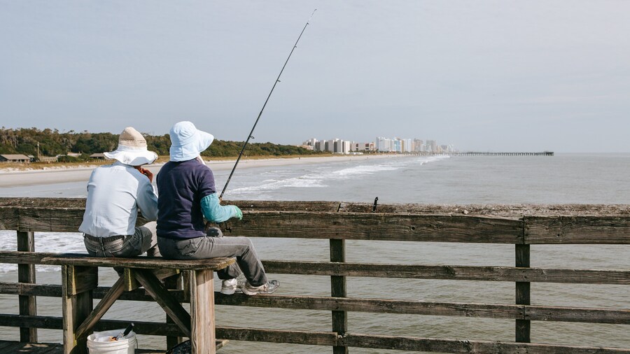 Myrtle Beach State Park showing general coastal views and fishing as well as a couple