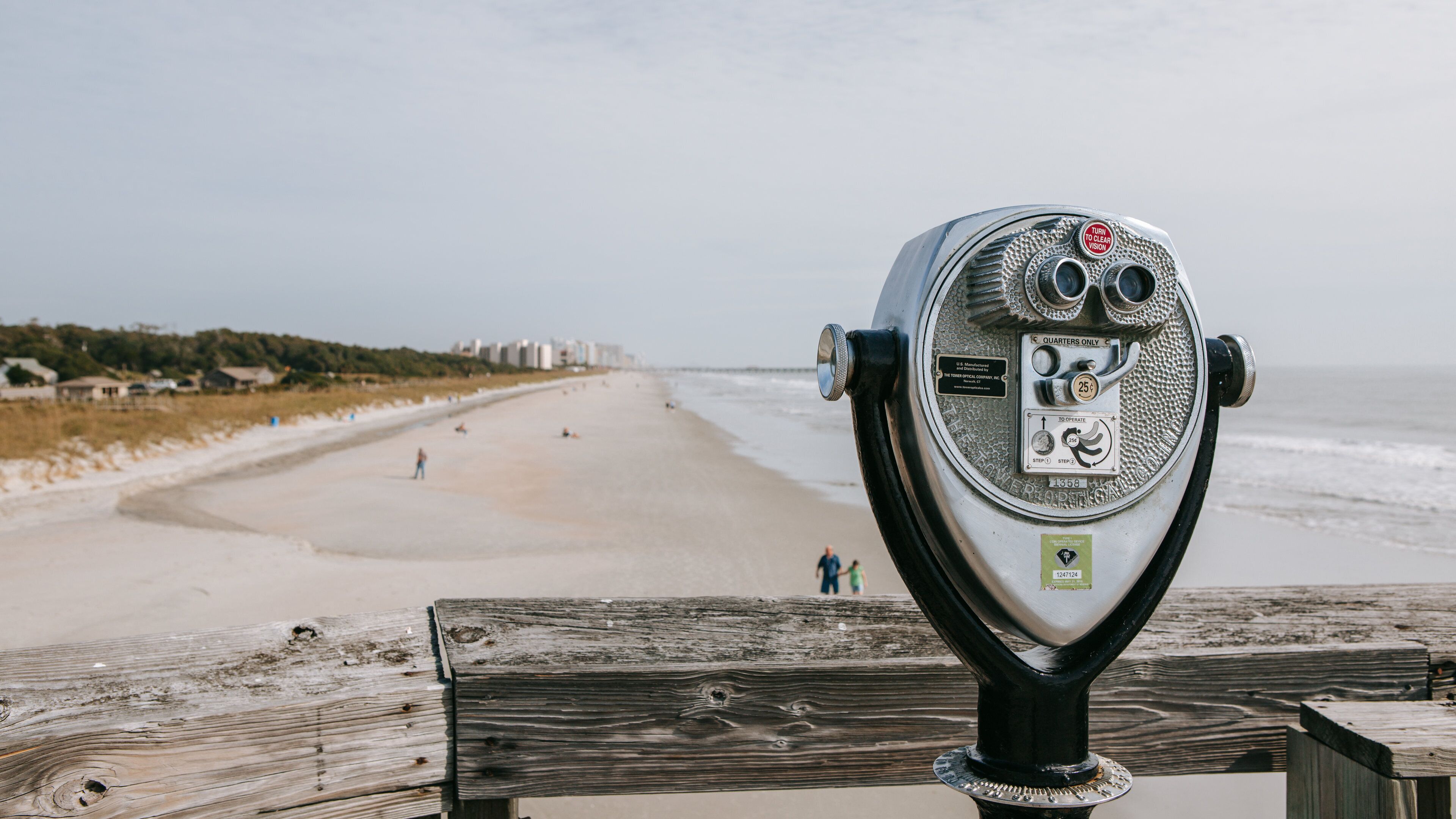 Myrtle Beach State Park showing views, general coastal views and a sandy beach