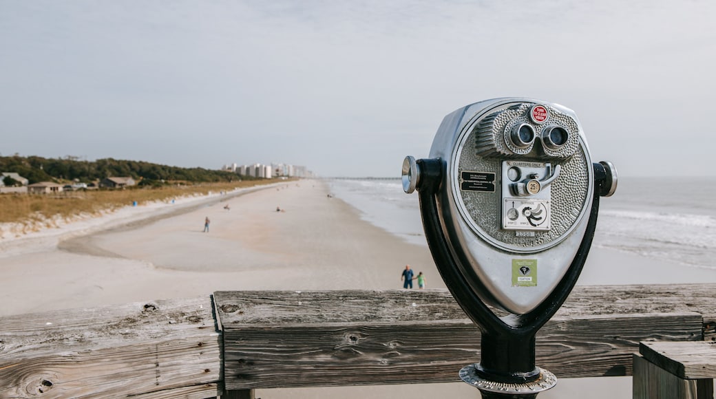 Myrtle Beach State Park showing views, general coastal views and a sandy beach