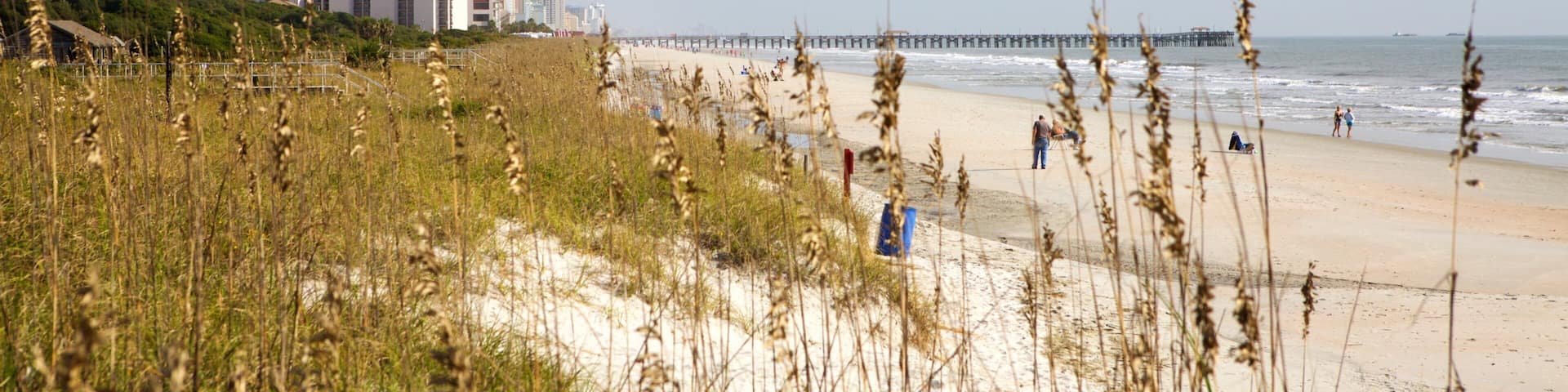 A beach with tall grass in the foreground, a pier extending into the water, and buildings in the background.
