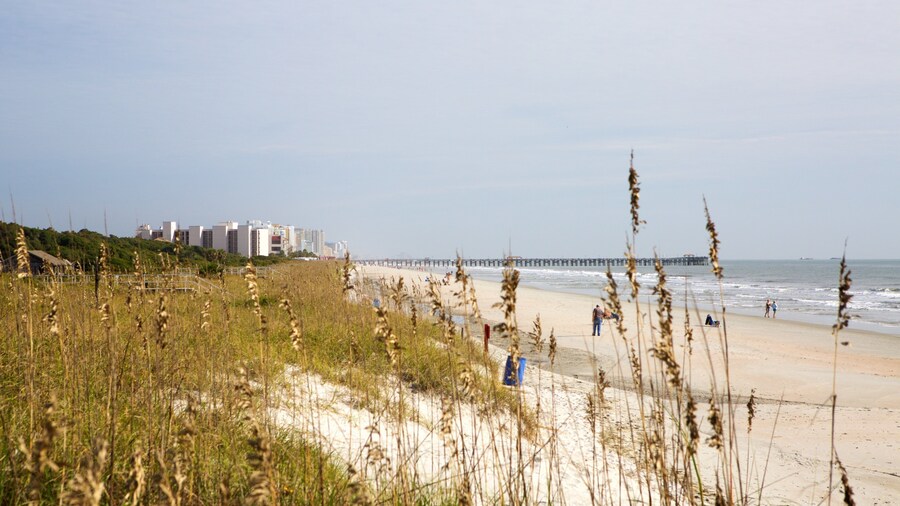 Myrtle Beach State Park que inclui uma praia de areia e paisagens litorĂąneas