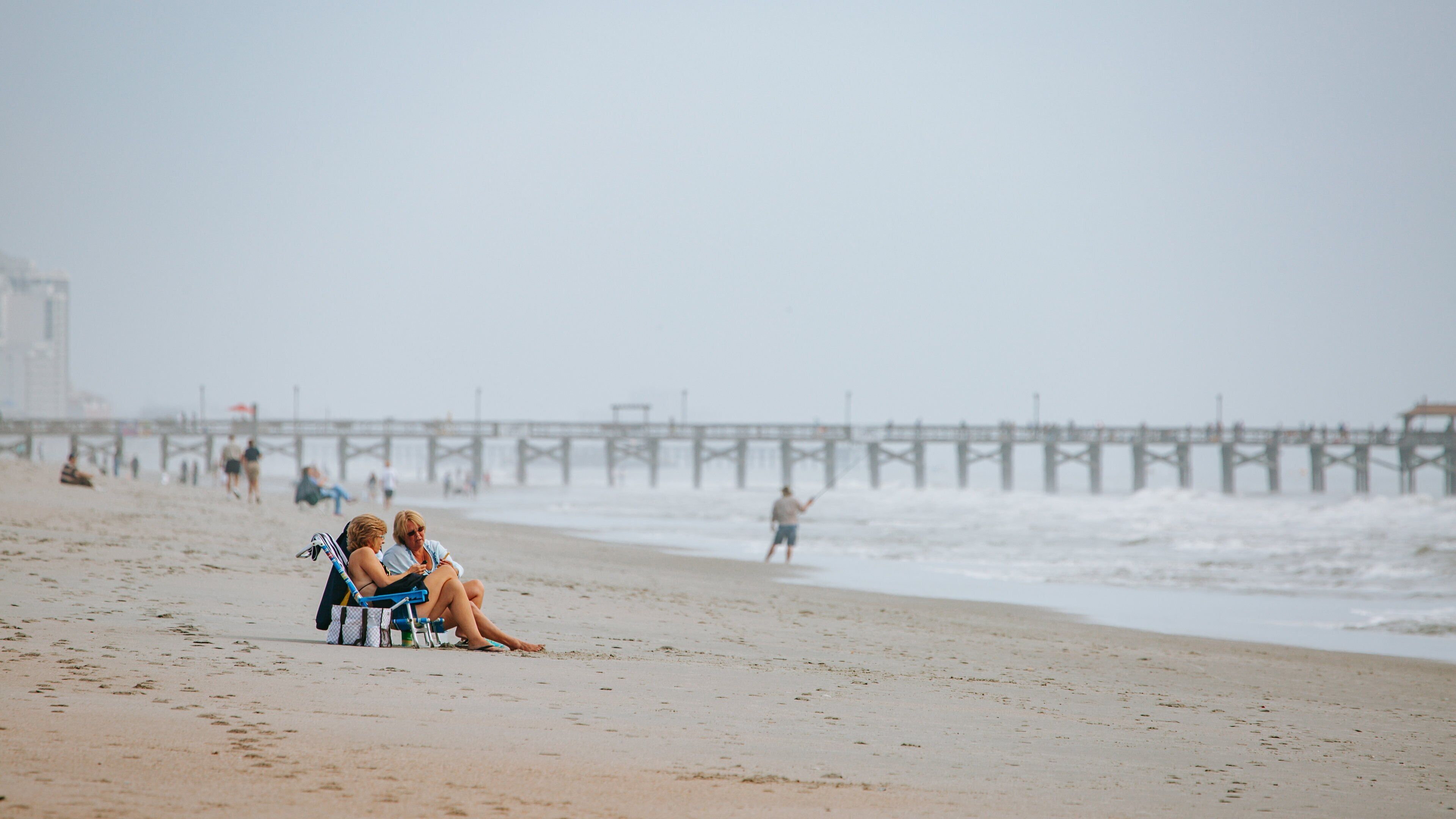 Myrtle Beach State Park showing a beach and general coastal views as well as a couple