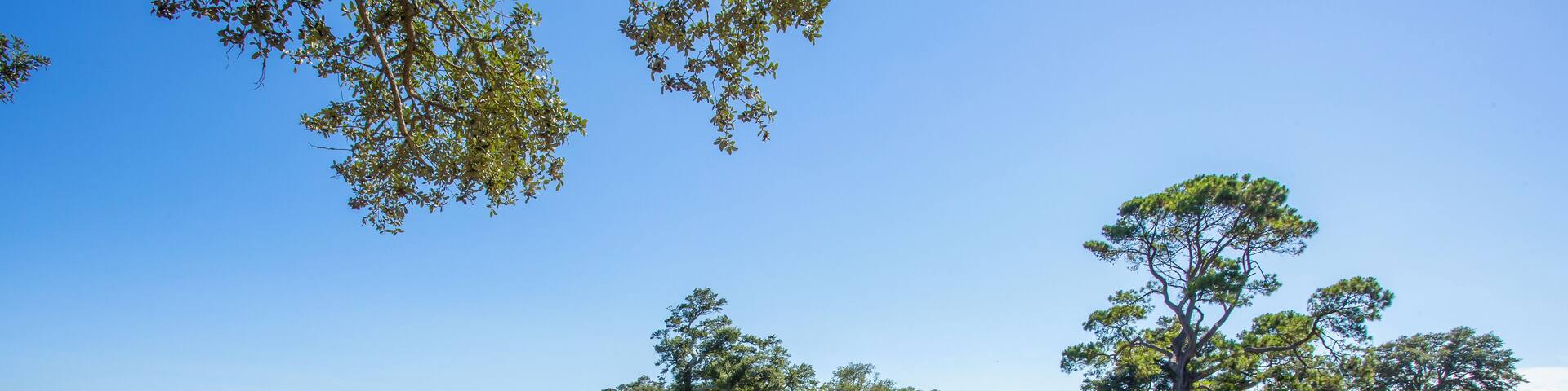 NorthMyrtleBeach_SurfGolfandBeachClub_6079997_0004