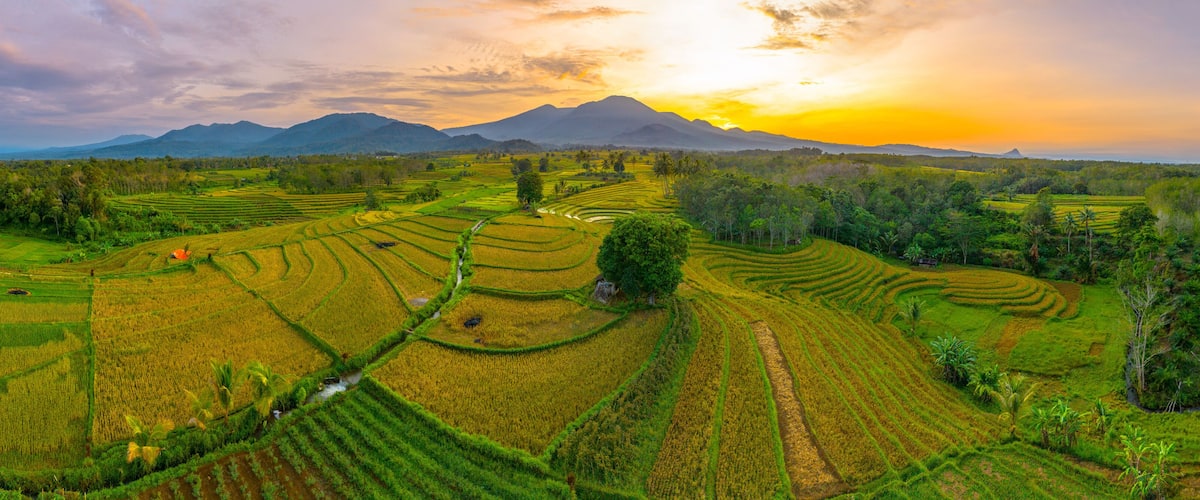 Terraced rice fields, a mountain range, and a sunset.