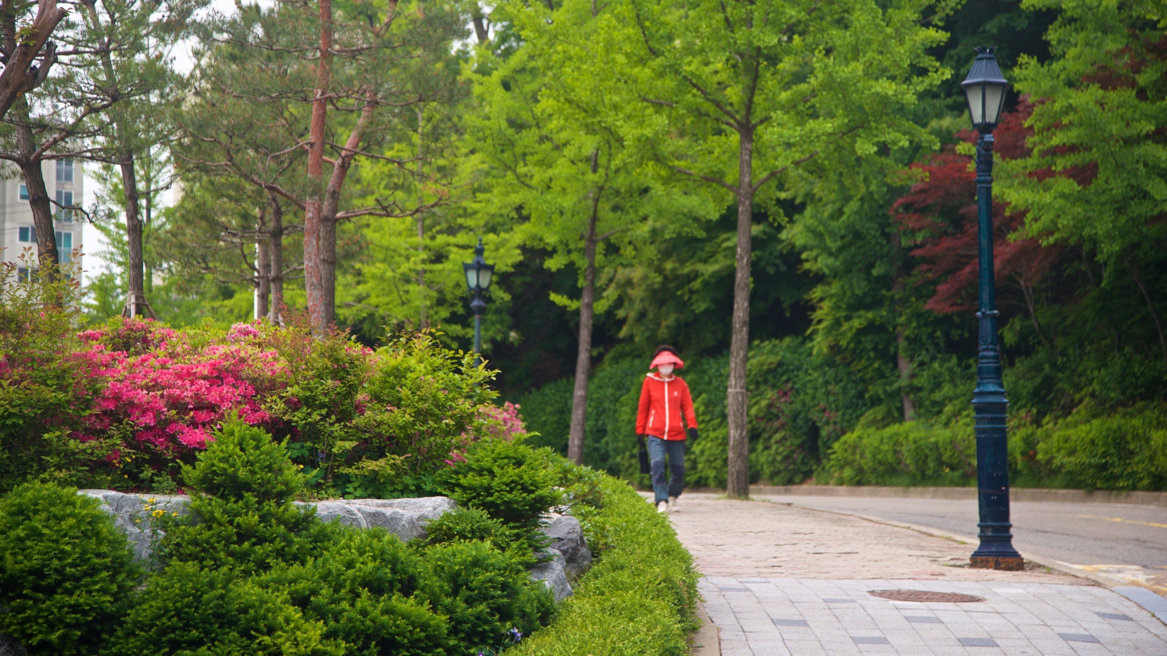 Seoul National University which includes street scenes and a garden as well as an individual femail