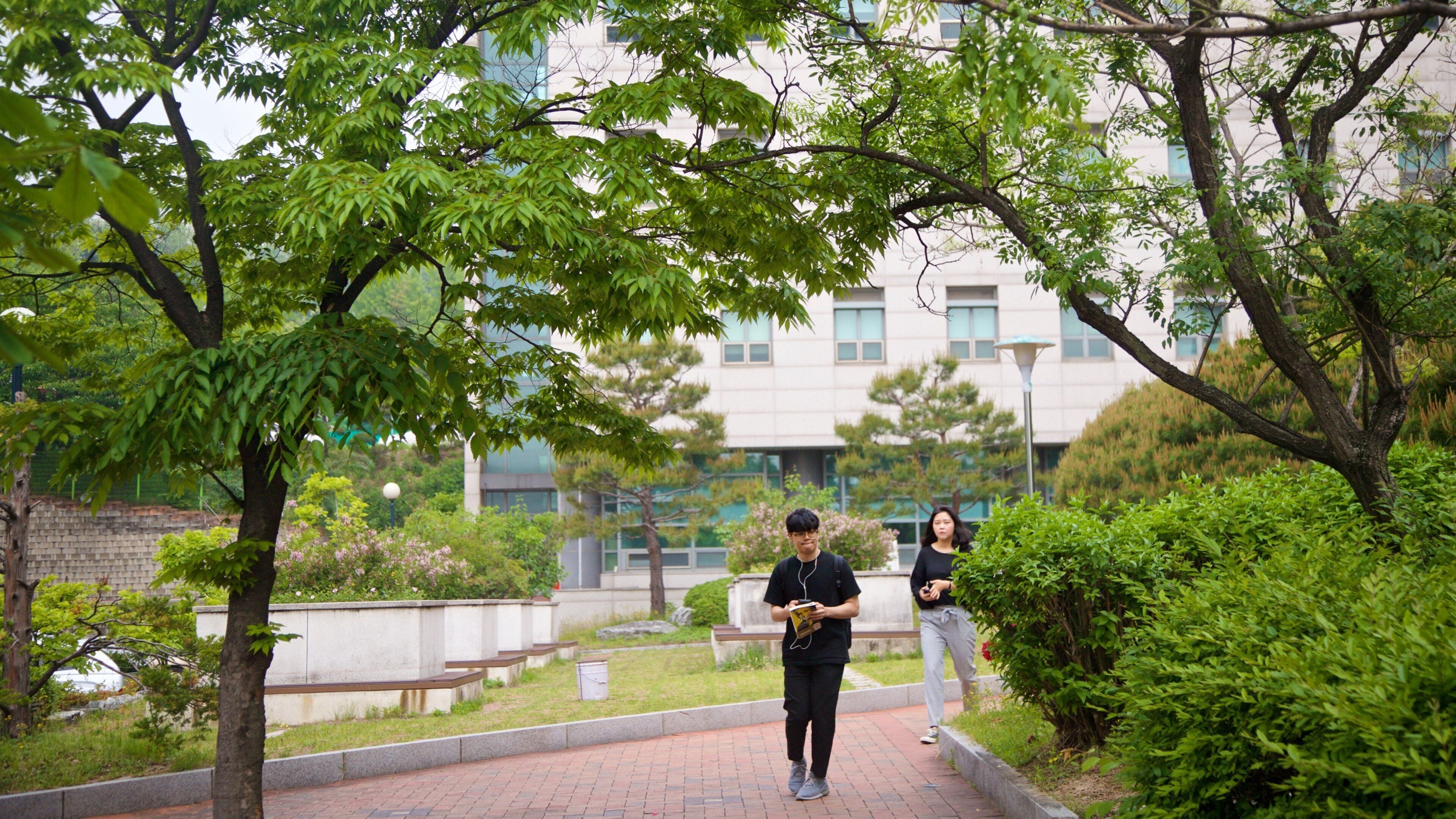 Seoul National University showing a park as well as a couple