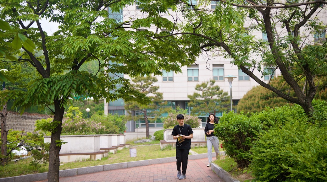 Seoul National University showing a park as well as a couple