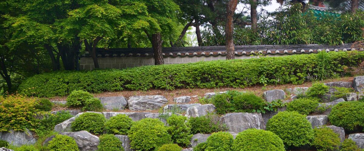 Seoul National University showing a park