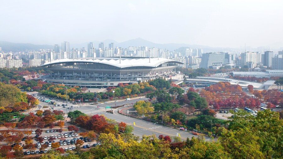Estado de la Copa del Mundo de Seúl