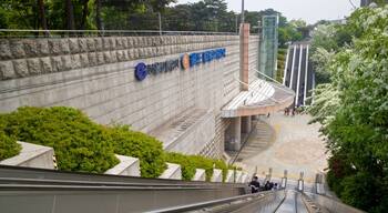 Seoul World Cup Stadium