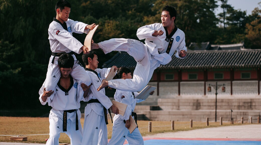 Gyeongbokgung Palace featuring performance art as well as a small group of people