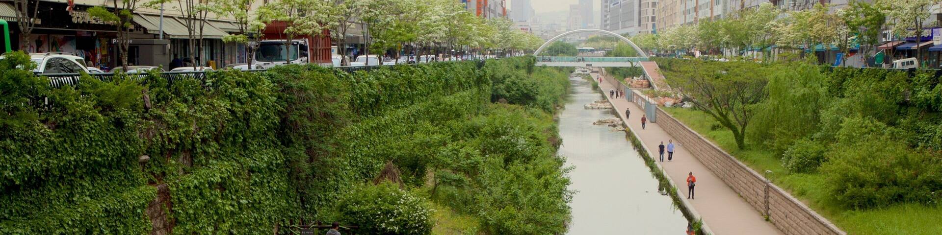 Dongdaemun History and Culture Park showing a city, a garden and a river or creek