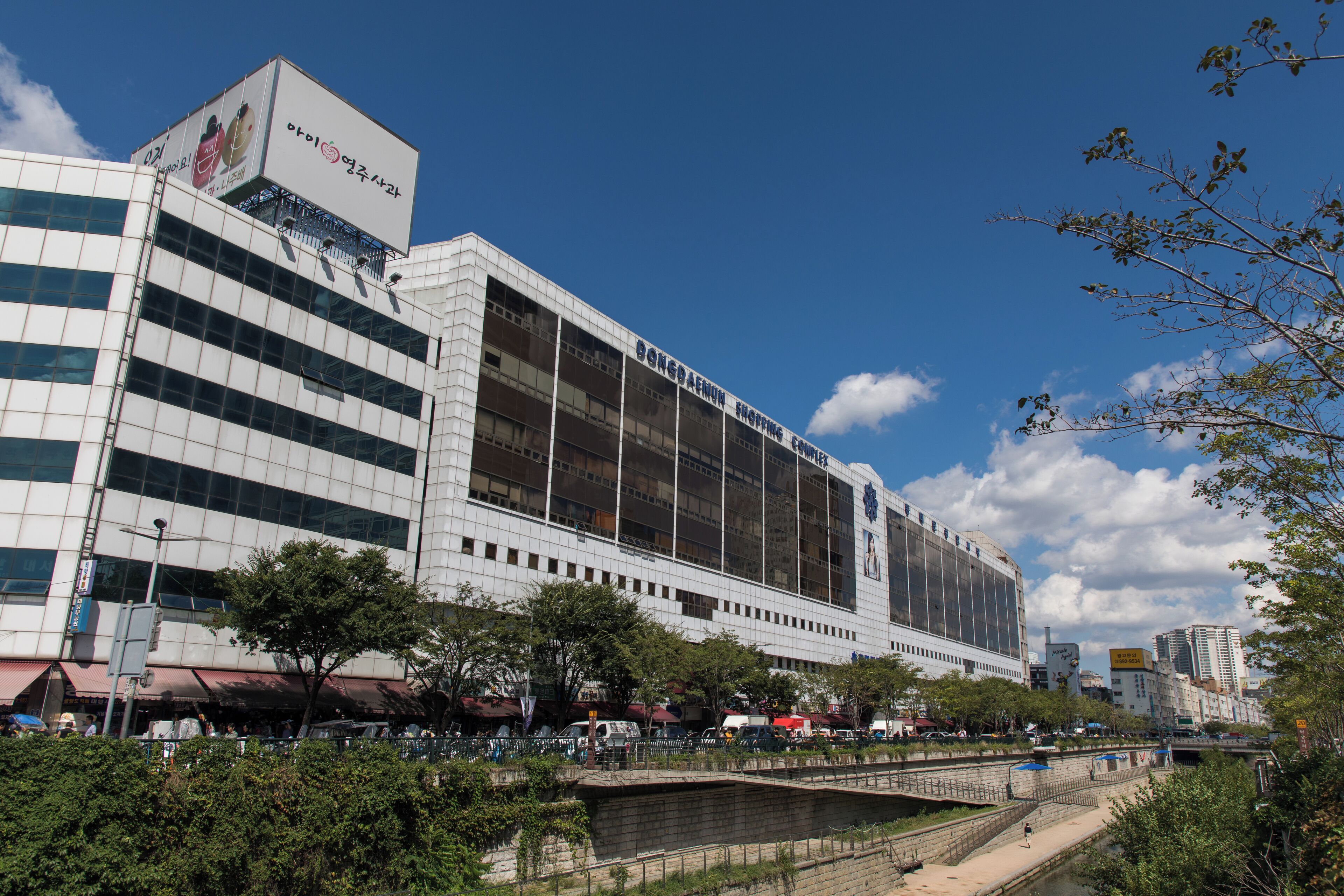 Seoul_DongdaemunMarket_6080017_-8