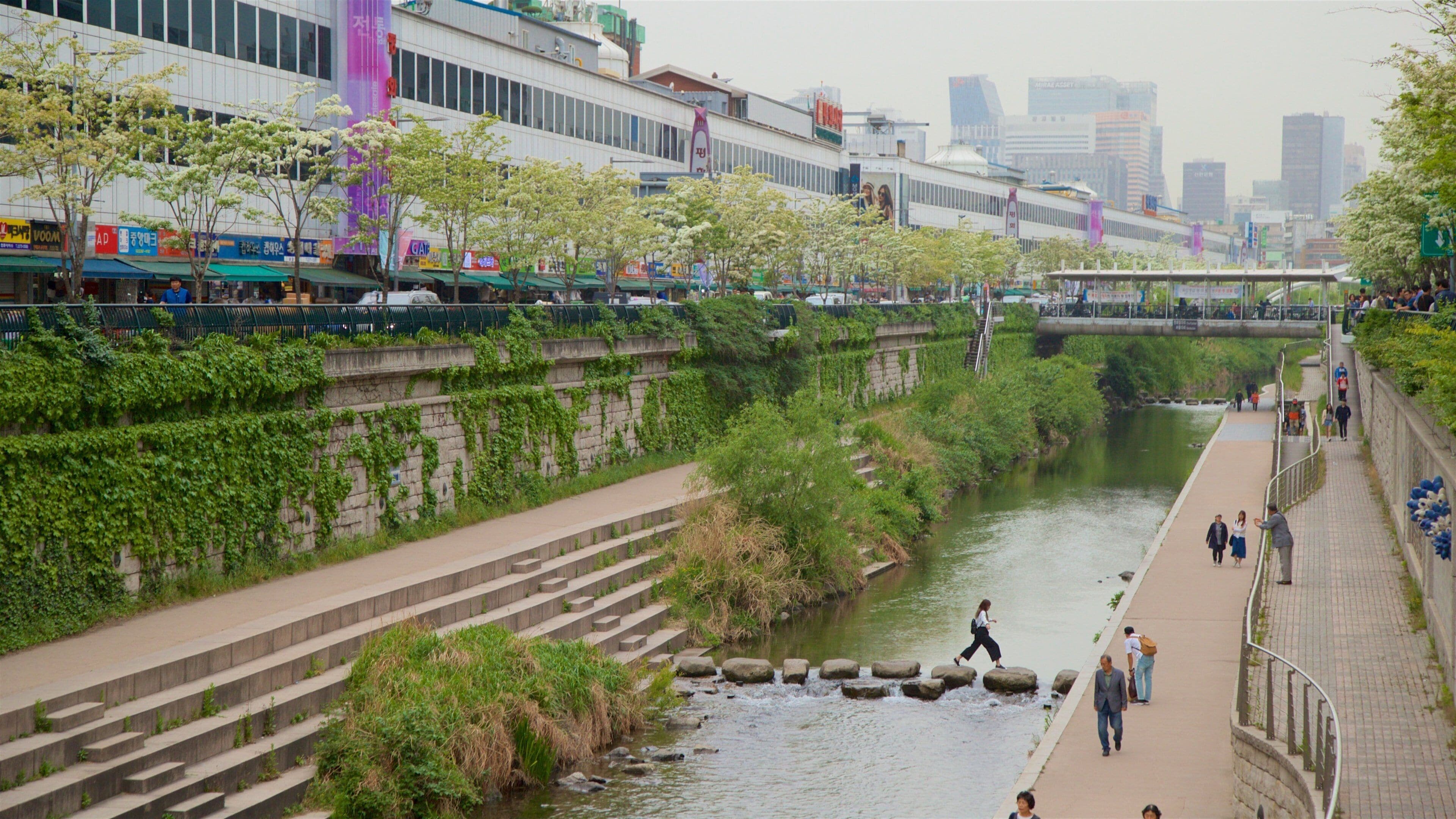 Dongdaemun Market featuring a city, a park and a river or creek