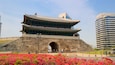 Sungnyemun Gate showing wildflowers, a city and heritage architecture