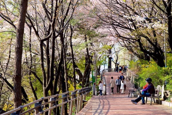 Jayu-Park welches beinhaltet Garten und Wildblumen sowie kleine Menschengruppe
