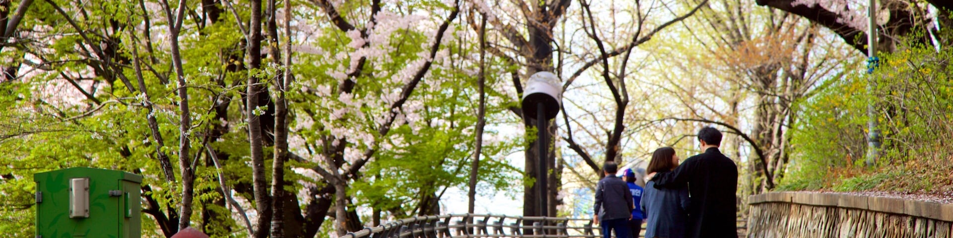 Parque Jayu que incluye un parque y flores salvajes y también una pareja