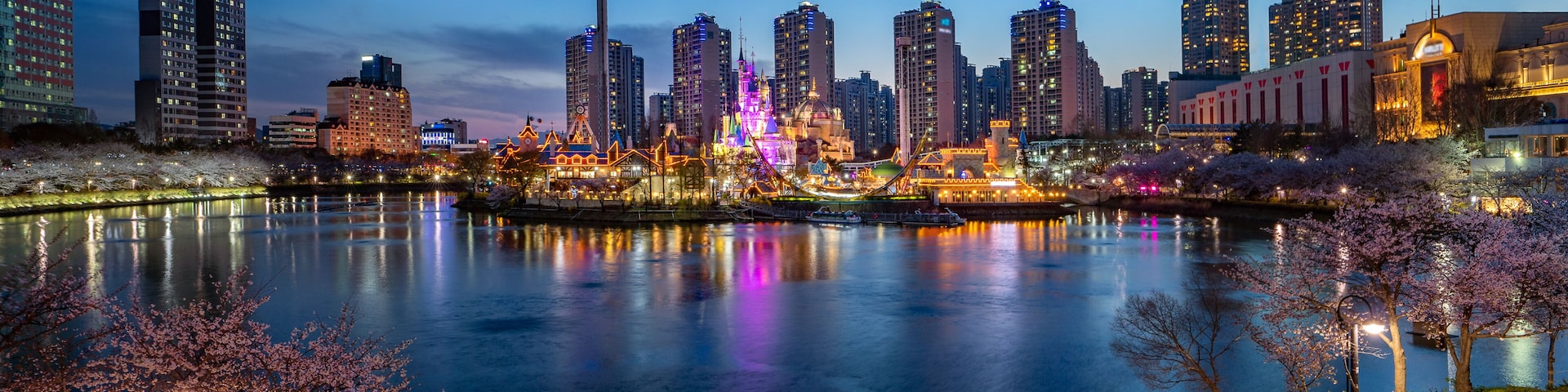 Horizonte urbano à noite com edifícios iluminados, um rio refletindo luzes e cerejeiras ao longo da margem.