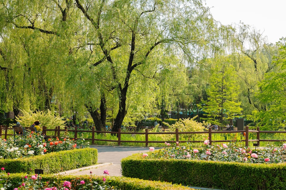 Um parque com vegetação exuberante, cerca de madeira e canteiros de flores bem cuidados.