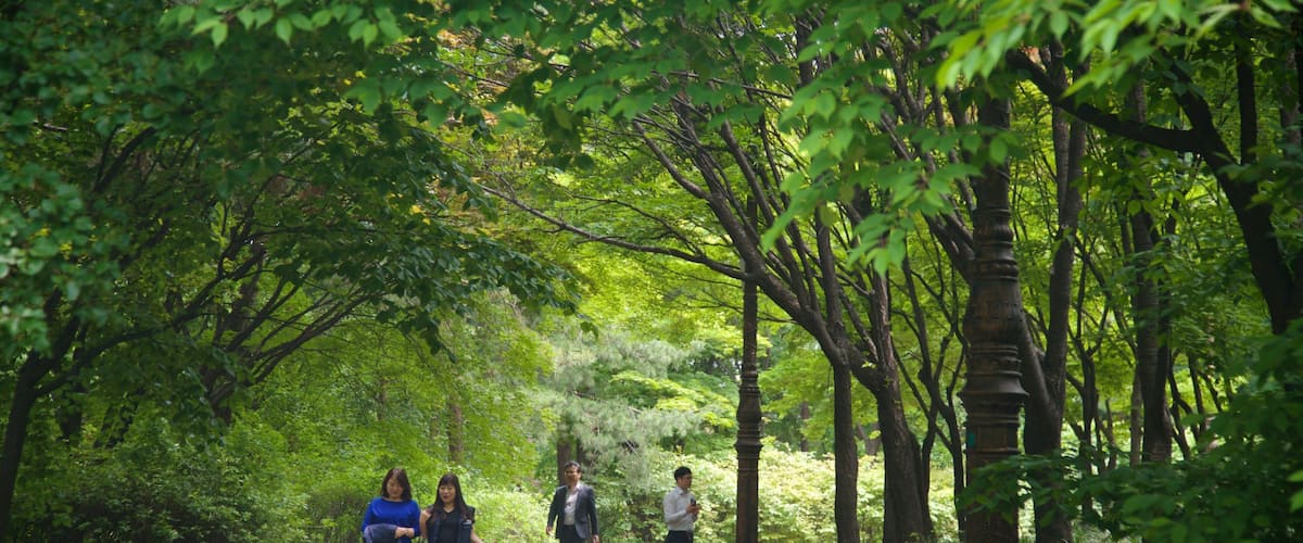 Yeouido Park featuring a park as well as a small group of people
