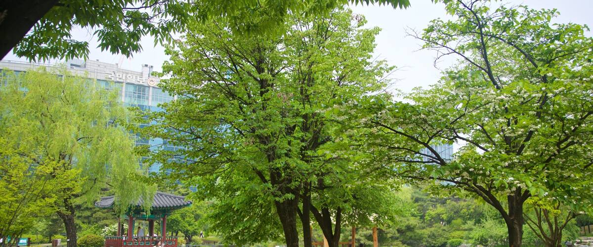 Yeouido Park showing a park