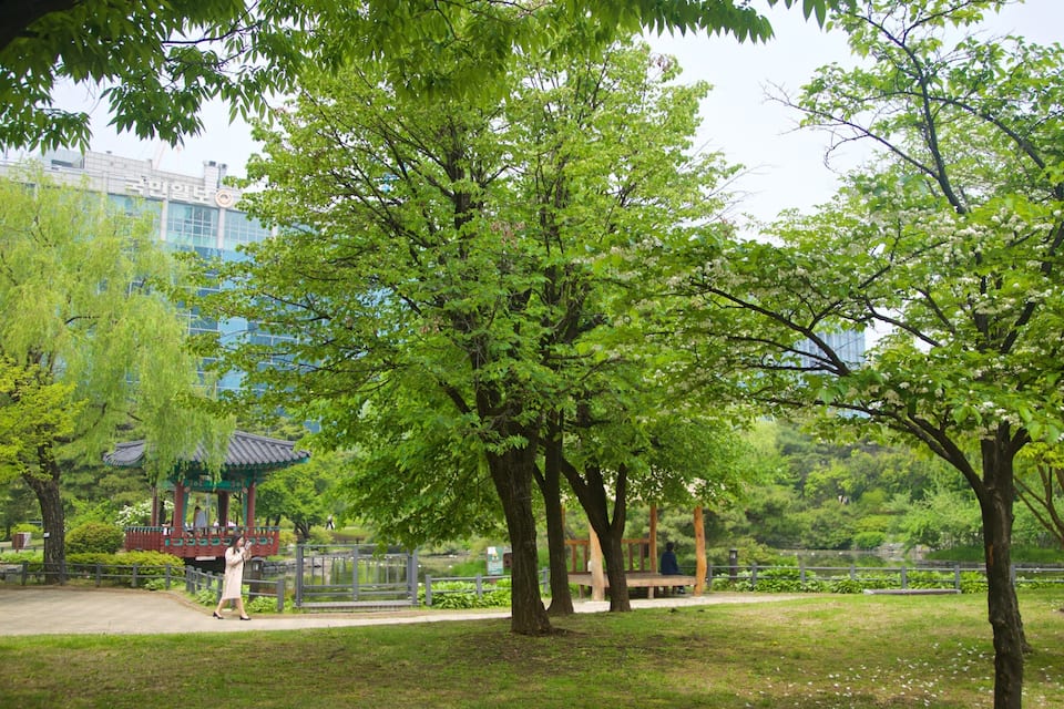 Un parc amb arbres, un porxo i un edifici al fons.