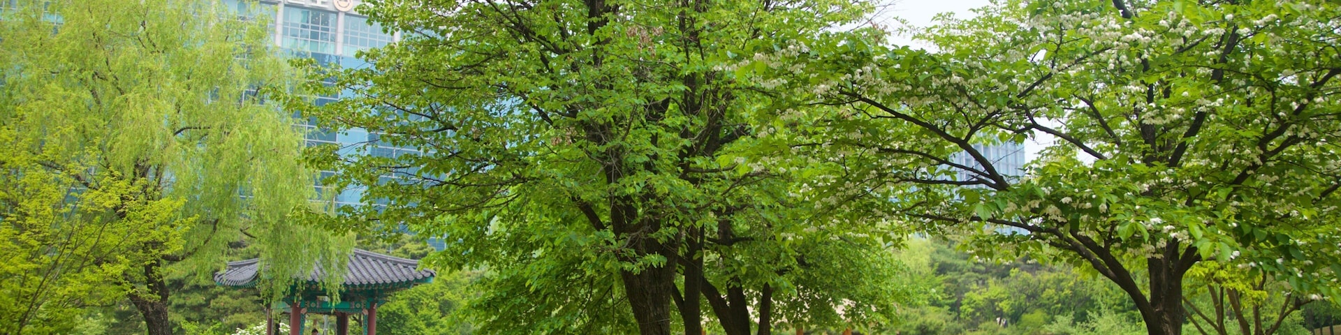 Yeouido Park showing a park