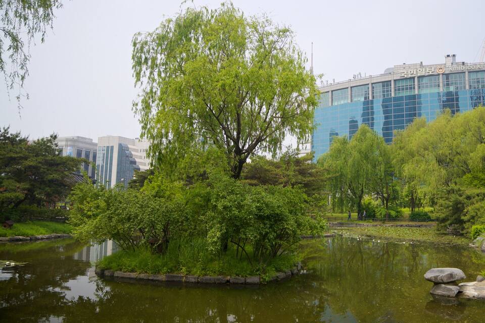 A park with a pond, trees, and a modern building with the logo "CCMM".