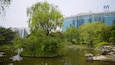 汝矣島河口生態公園