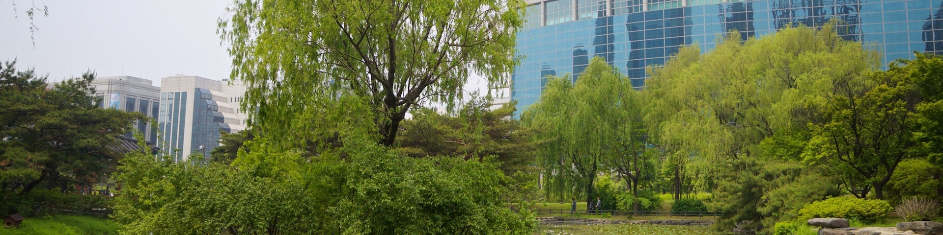 Yeouido Park showing a pond and a garden
