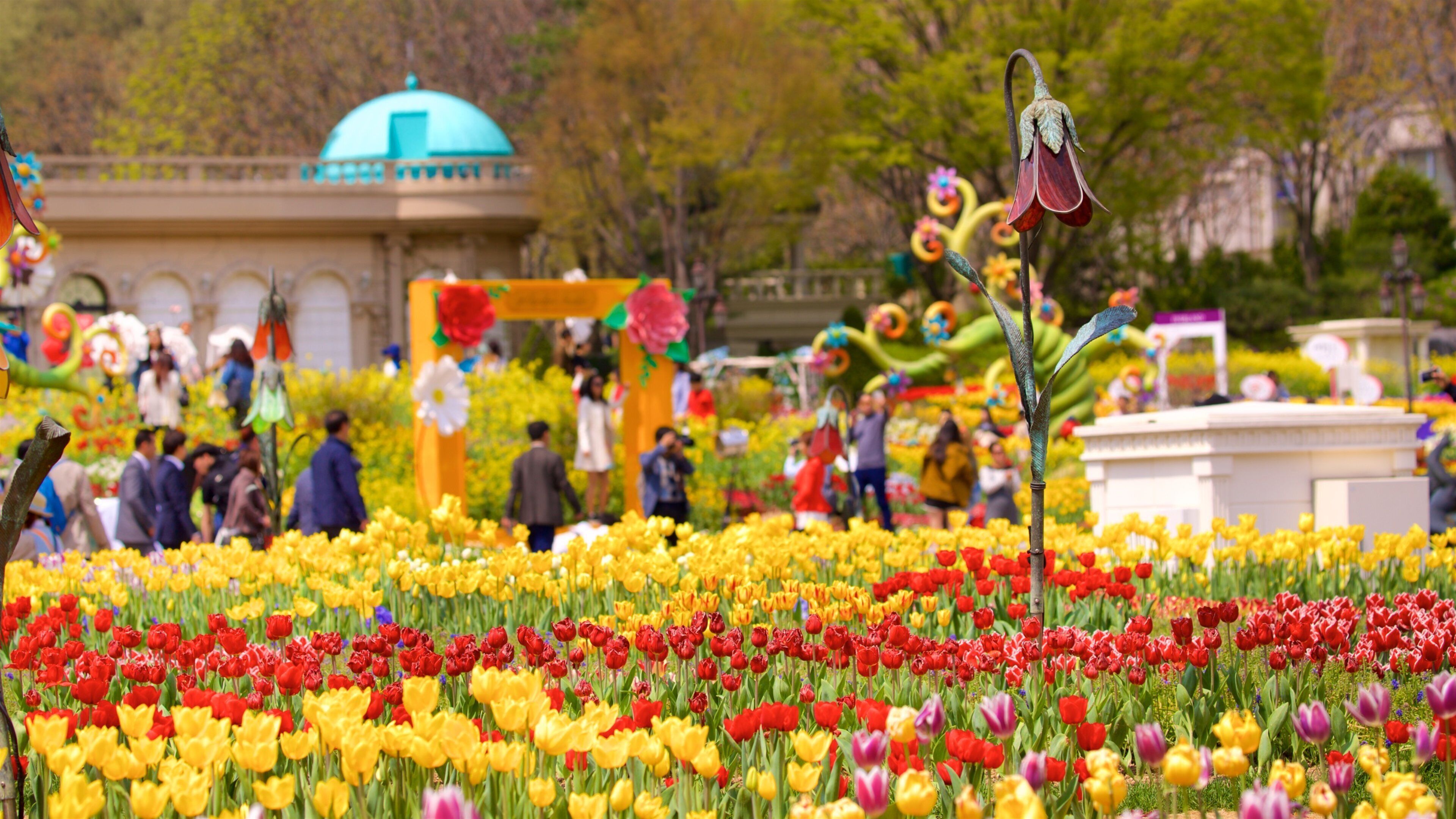 Everland showing rides, wildflowers and flowers