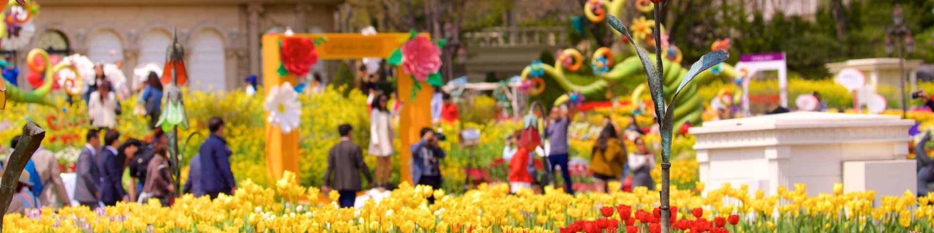 Everland showing rides, wildflowers and flowers