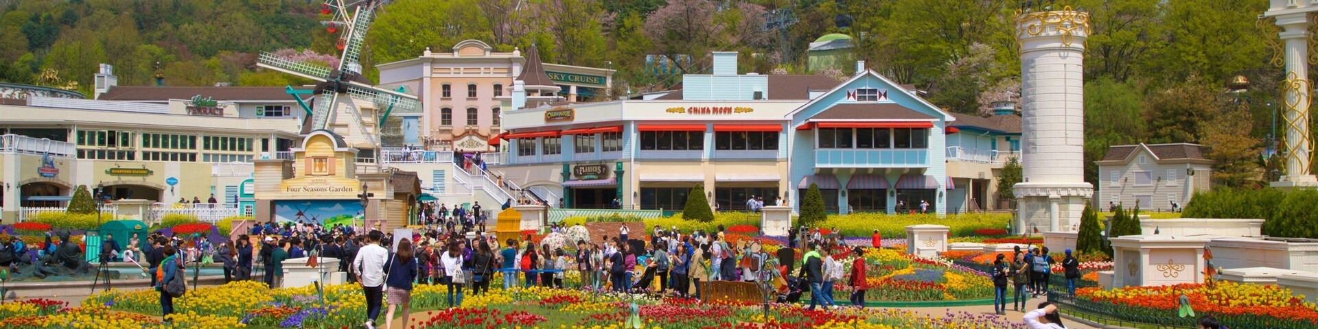 Everland que incluye flores, atracciones y flores salvajes