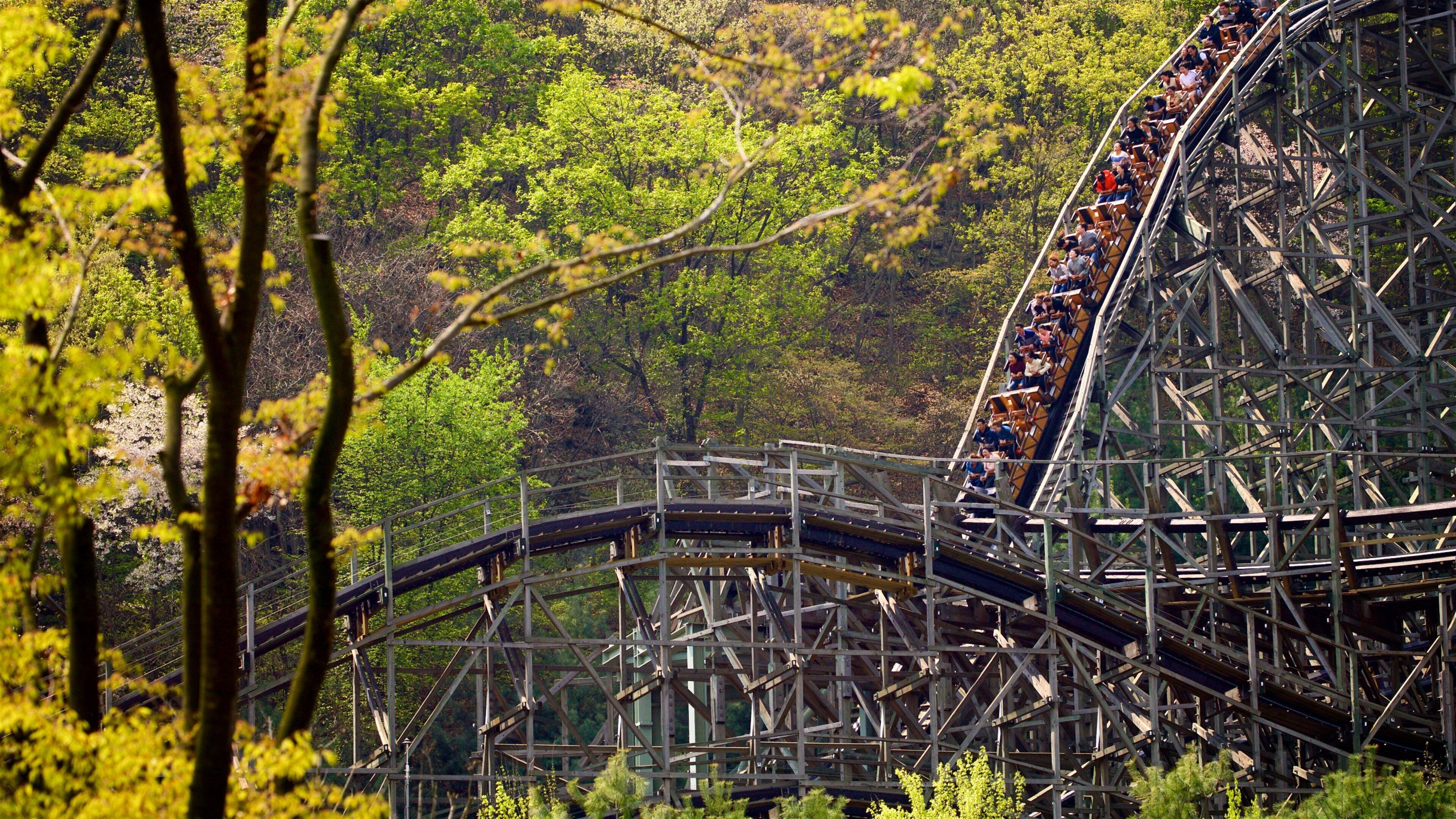 Everland showing rides as well as a small group of people