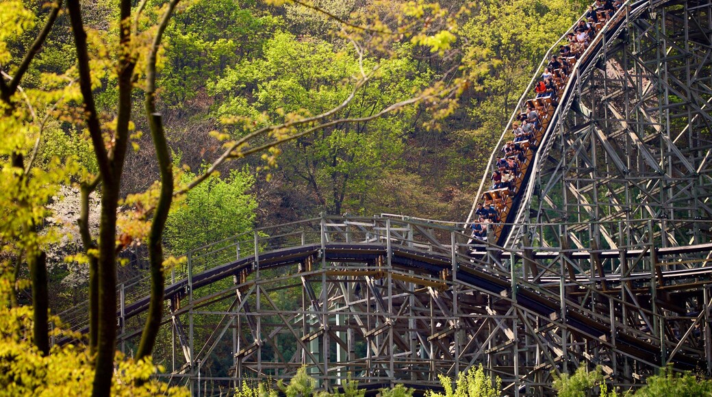 Everland showing rides as well as a small group of people