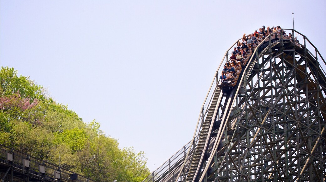 Everland showing rides as well as a small group of people
