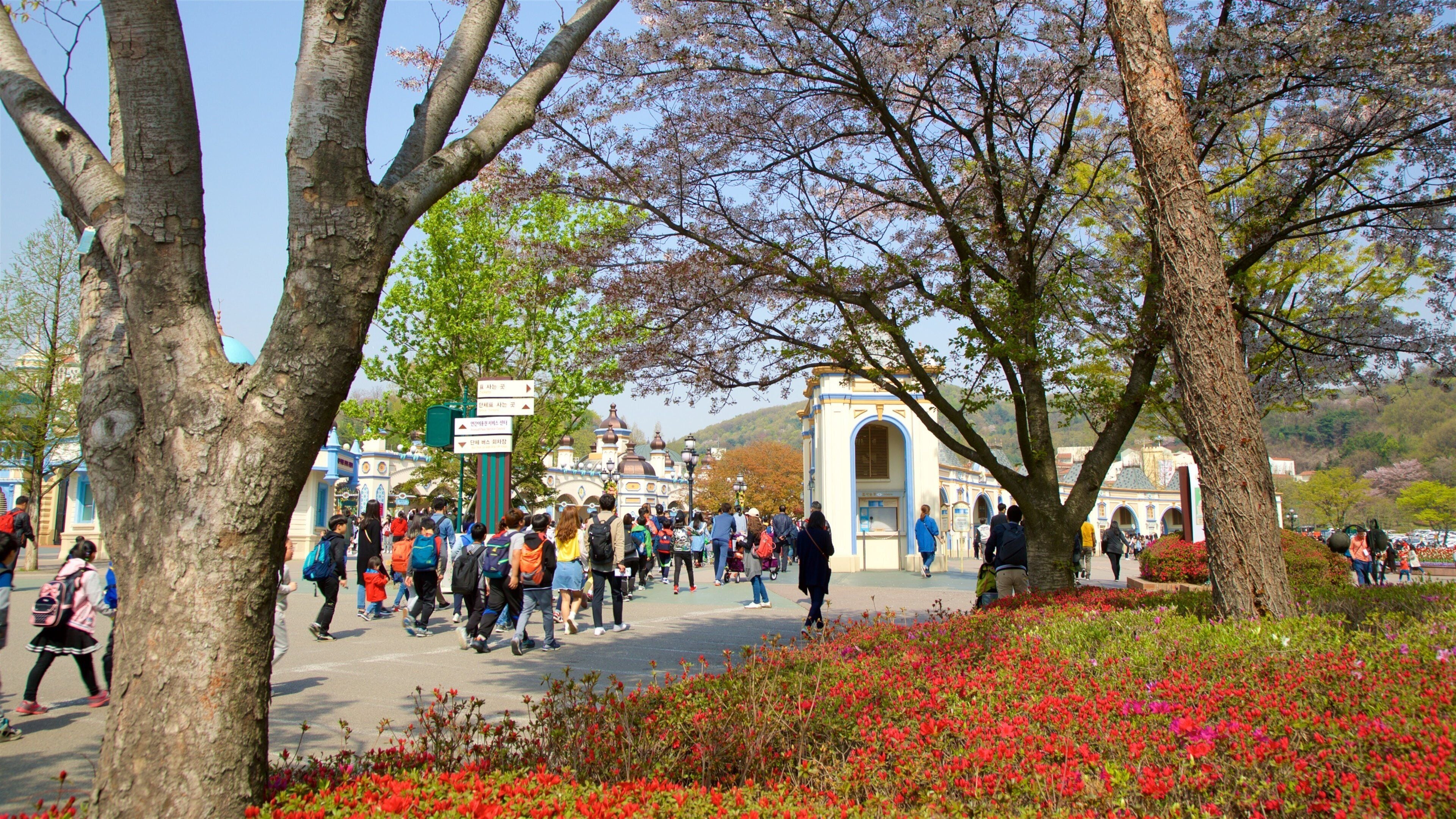 Everland featuring wildflowers as well as a large group of people