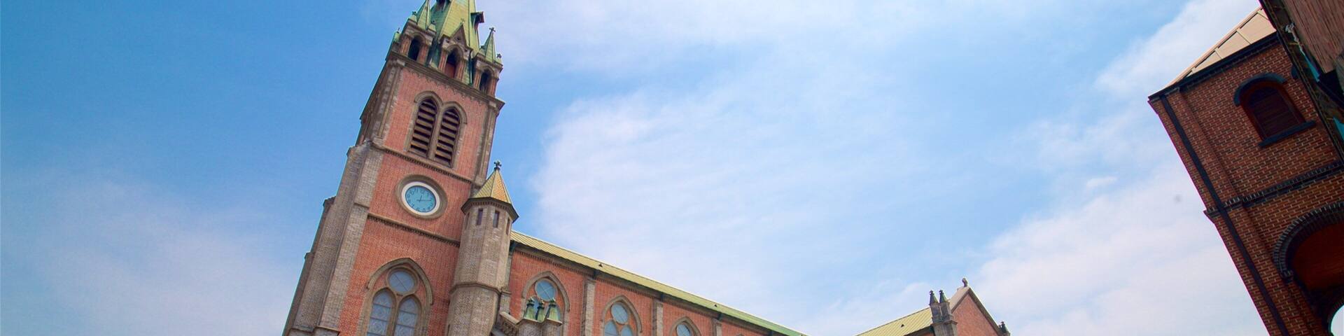 Myeongdong Kathedrale welches beinhaltet Kirche oder Kathedrale und historische Architektur sowie einzelner Mann