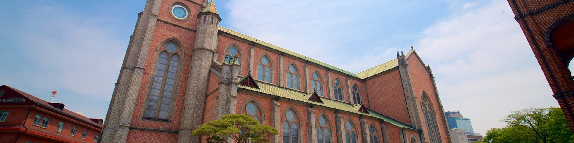 Myeongdong-kathedraal toont historische architectuur en een kerk of kathedraal en ook een man
