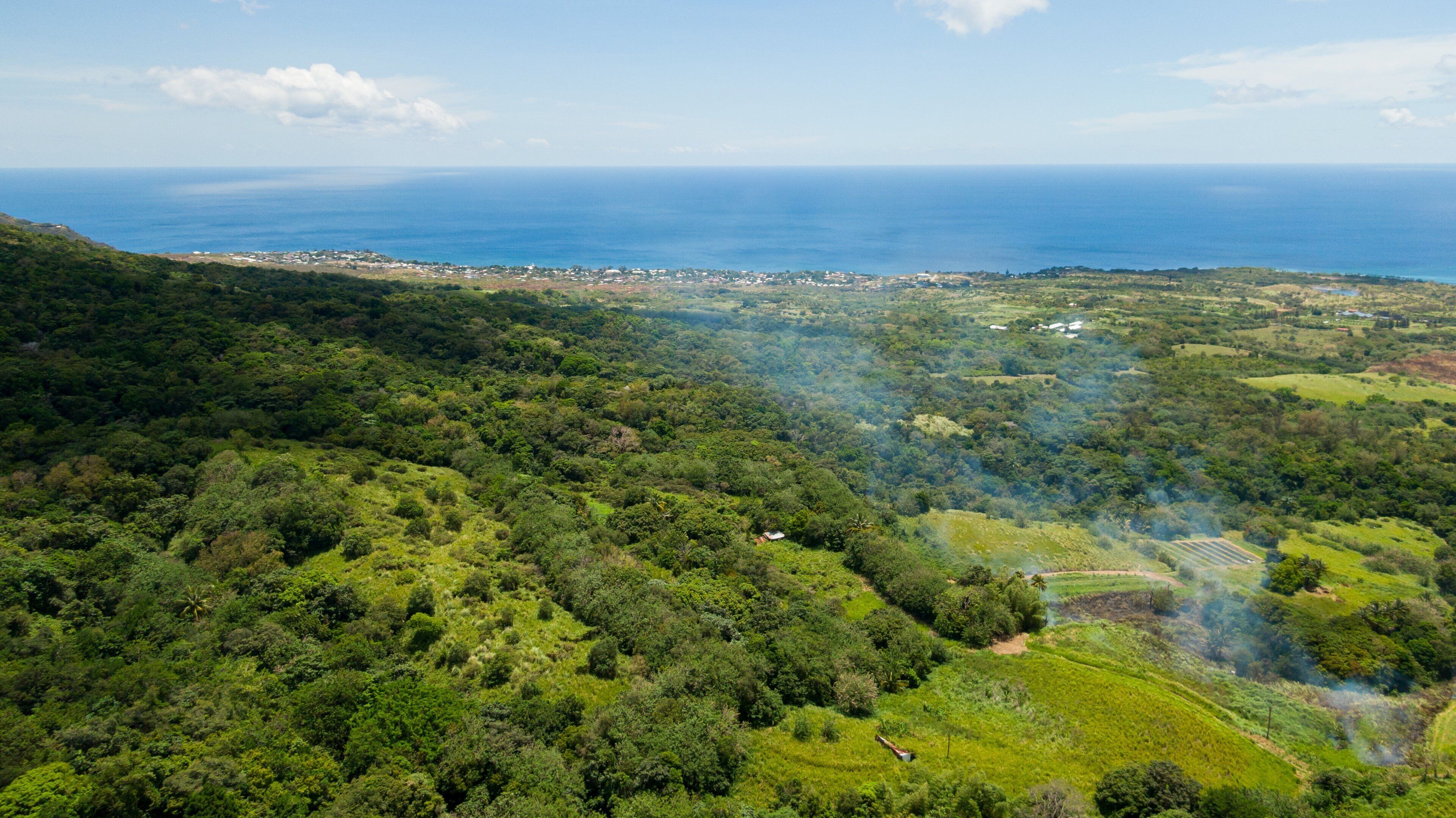Mount Liamuiga showing landscape views, general coastal views and tranquil scenes