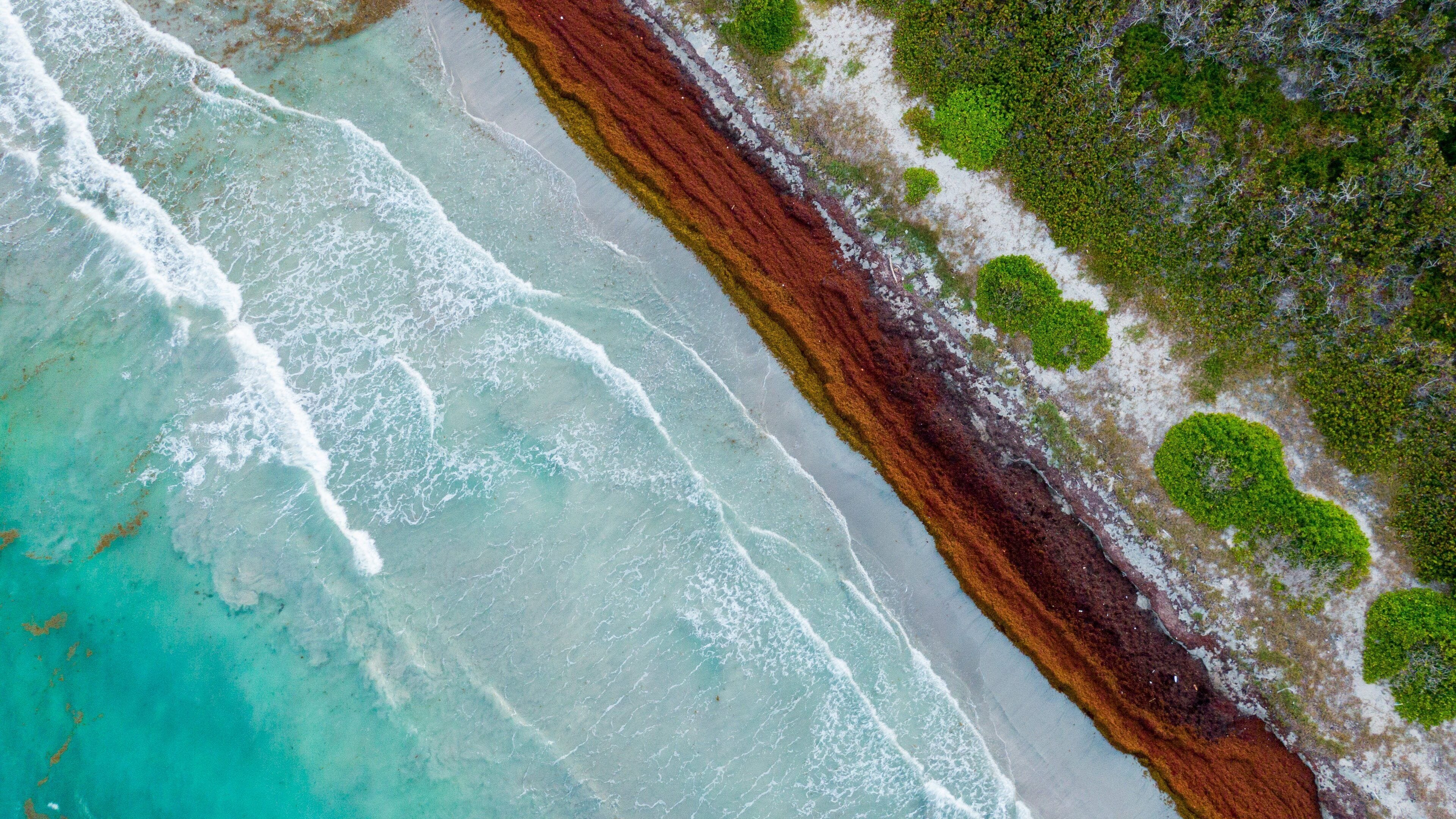 Turtle Beach which includes general coastal views