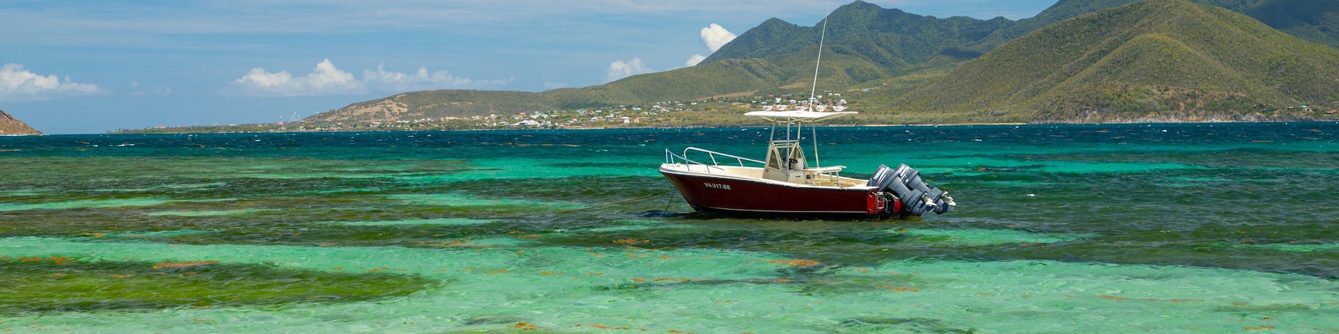 Turtle Beach which includes tropical scenes, sailing and general coastal views