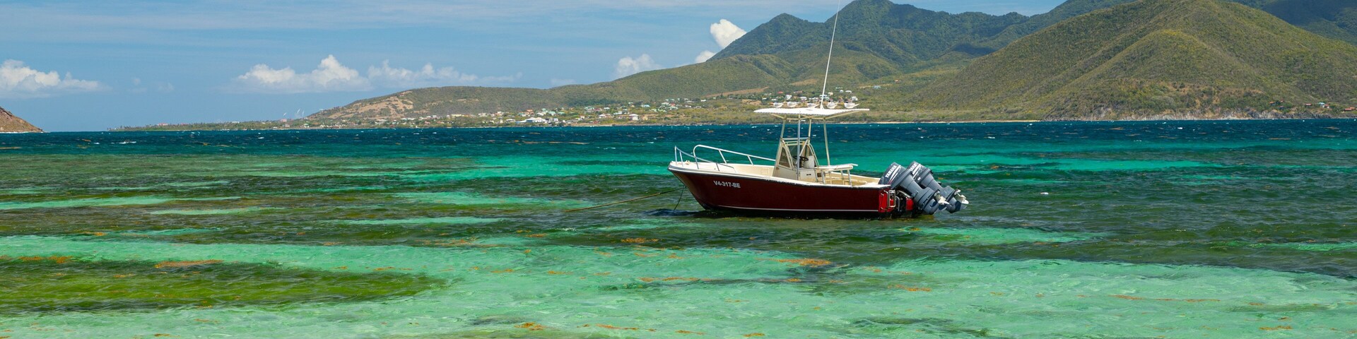 Turtle Beach which includes tropical scenes, sailing and general coastal views