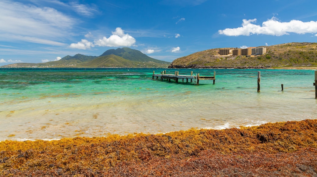 Turtle Beach which includes general coastal views and tropical scenes