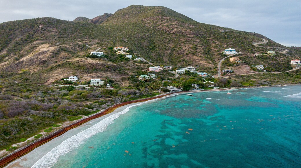 Turtle Beach which includes mountains, a coastal town and landscape views