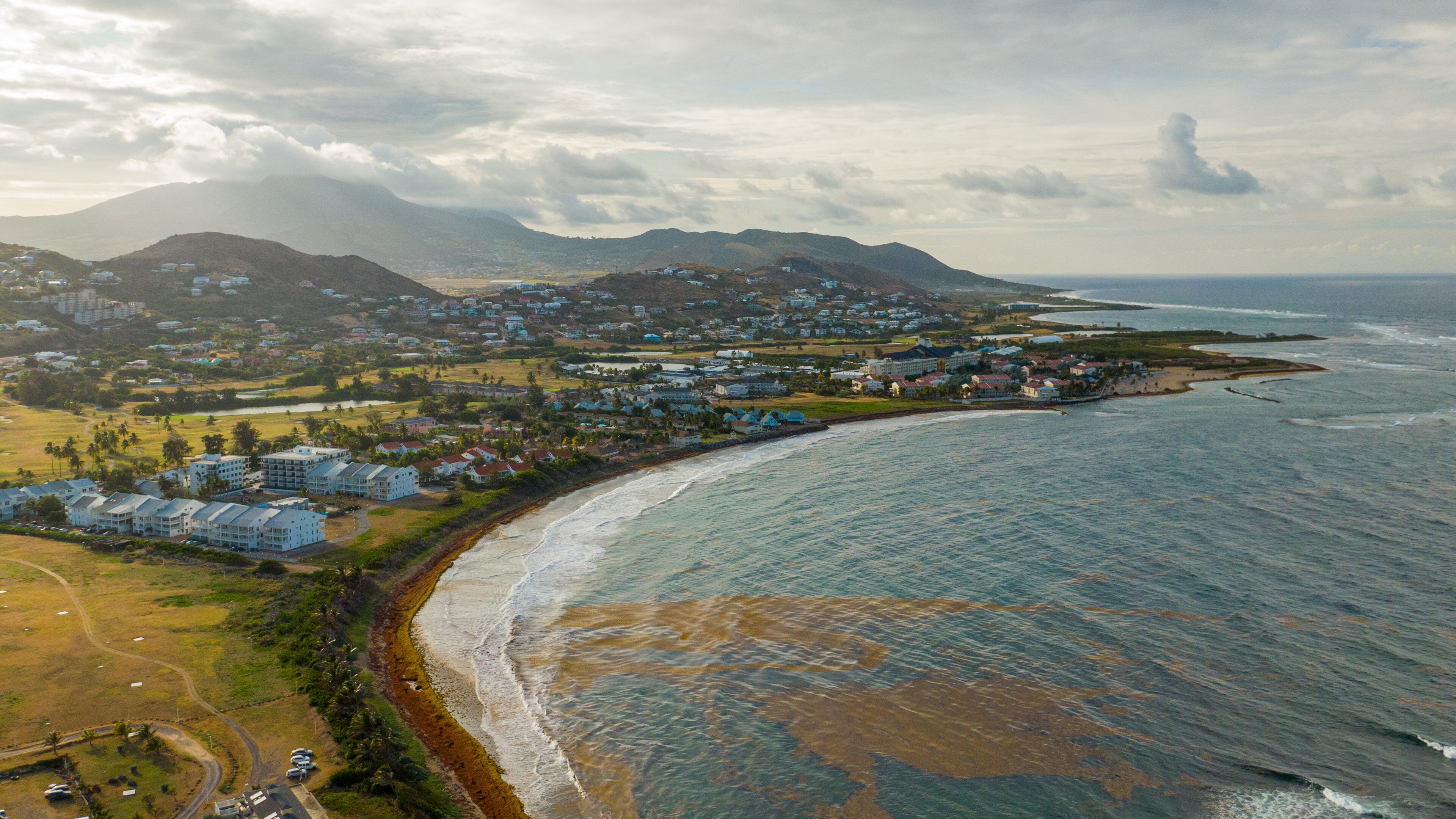 Timothy Hill showing general coastal views, a coastal town and landscape views
