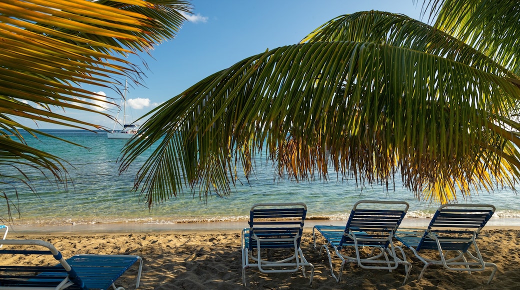 South Friar\'s Beach featuring a sandy beach, general coastal views and tropical scenes