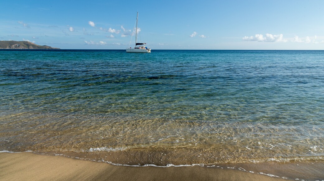South Friar\'s Beach showing a beach and general coastal views