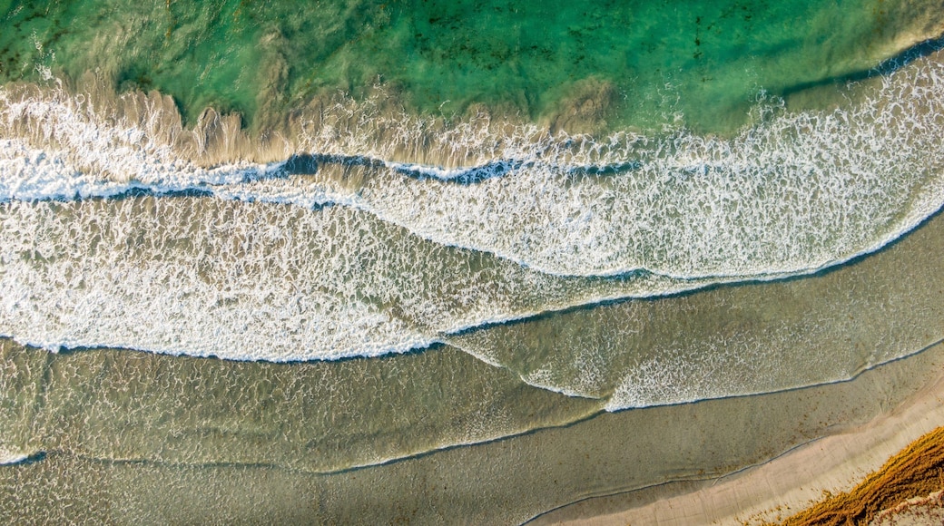 Sandy Bank Beach showing general coastal views